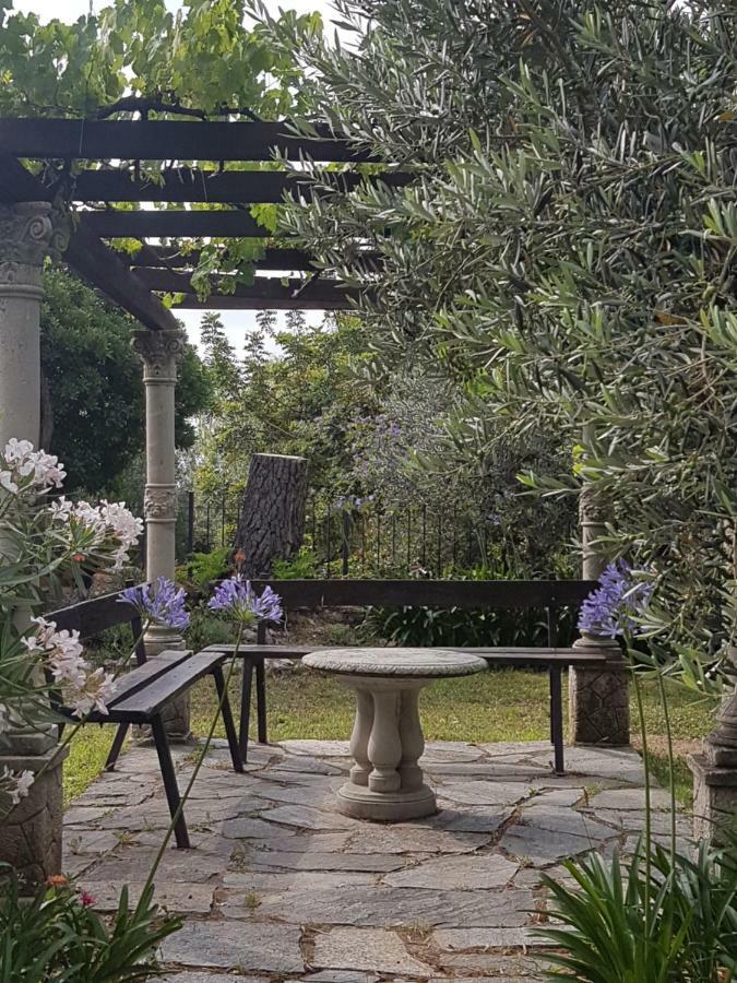 Villa Fior Di Lavanda Cisano sul Neva Exteriör bild