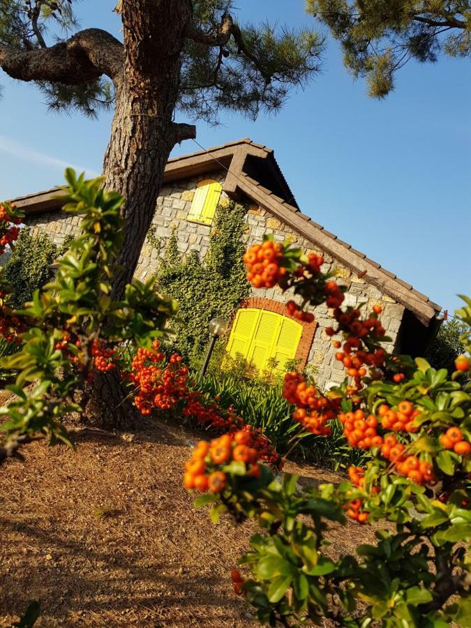 Villa Fior Di Lavanda Cisano sul Neva Exteriör bild
