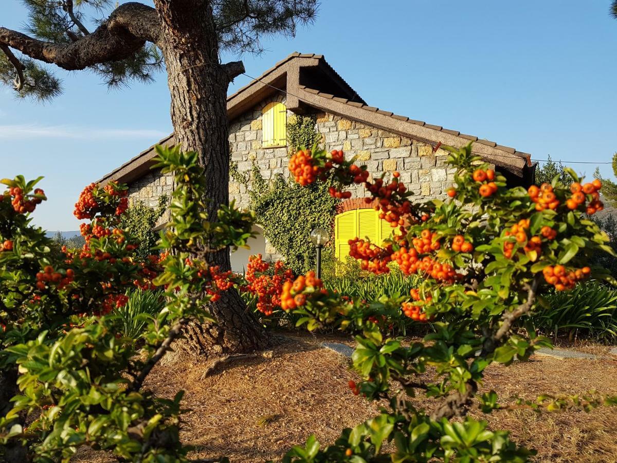 Villa Fior Di Lavanda Cisano sul Neva Exteriör bild